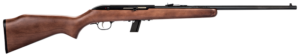 SAVAGE ARMS 64 SEMI-AUTO 22LR BL/WD 10+1