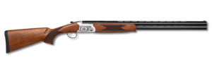 POINTER ACRIUS FIELD 28/28