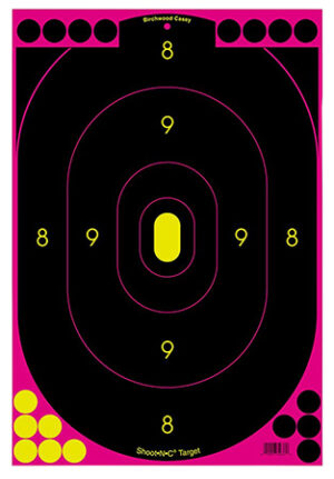 Birchwood Casey 34633 Shoot-N-C Reactive Target Black/Pink Hanging Paper Pink Pkg of 100 Includes Pasters