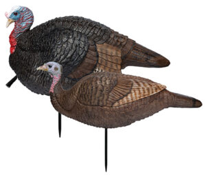 Primos 69075 Lil' Gobblestopper Jake & Hen Combo Turkey Species Multi Color