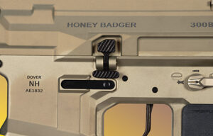 Q LLC Balanced Bolt Catch oversized AR-15 17-4 stainless steel QPQ Nitride