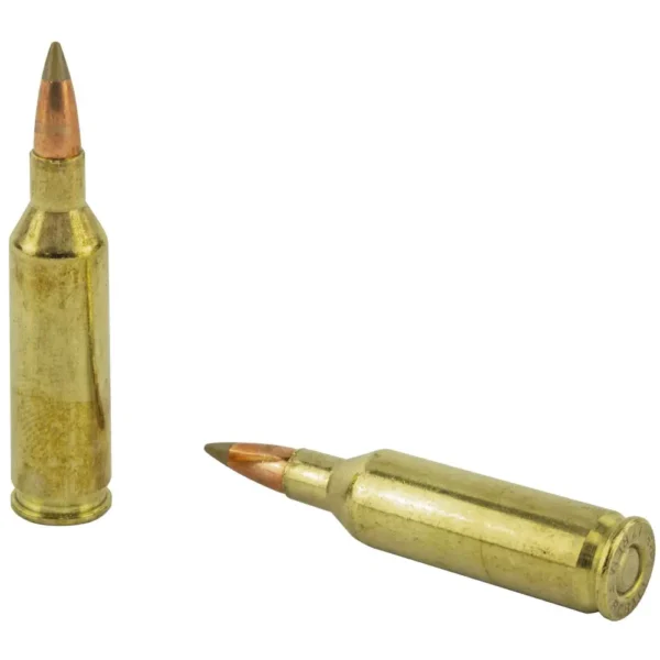 REMINGTON PRA17FB 17 REMINGTON FIREBALL 20GR ACCUTIP-V 20 RD/BX 10 BX/CS