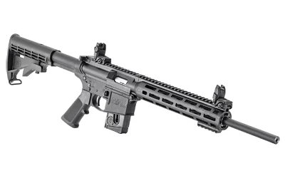 S&W M&P15-22 22LR 16 10RD BK FXD/CMP