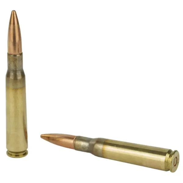 PMC BRONZE 50CAL BMG 660GR FMJ BT 10RD BX 200RD CASE