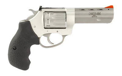 CHARTER ARMS PTHFNDR II 22WMR 8RD SS